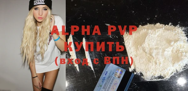 шишки Кемь